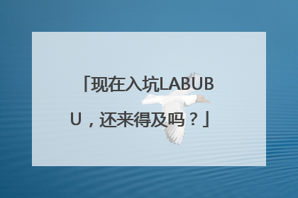 现在入坑LABUBU，还来得及吗？