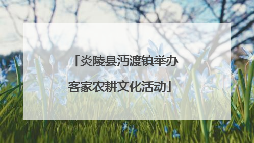 炎陵县沔渡镇举办客家农耕文化活动