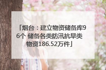 烟台：建立物资储备库96个 储备各类防汛抗旱类物资186.52万件