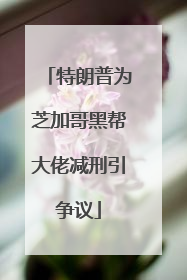 特朗普为芝加哥黑帮大佬减刑引争议