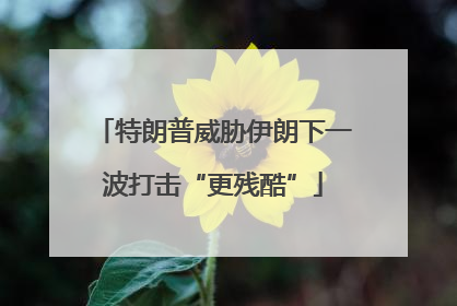 特朗普威胁伊朗下一波打击“更残酷”