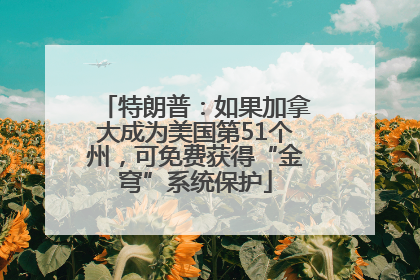 特朗普：如果加拿大成为美国第51个州，可免费获得“金穹”系统保护