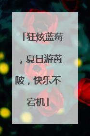 狂炫蓝莓，夏日游黄陂，快乐不宕机