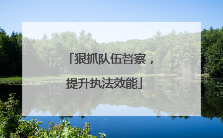 狠抓队伍督察，提升执法效能