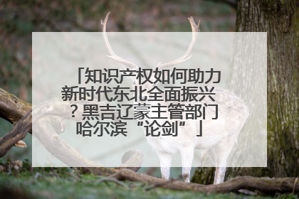 知识产权如何助力新时代东北全面振兴？黑吉辽蒙主管部门哈尔滨“论剑”