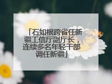 石如根跨省任新疆工信厅副厅长，连续多名年轻干部调任新疆