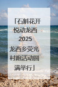 石斛花开 悦动龙西 2025龙西乡荧光村跑活动圆满举行