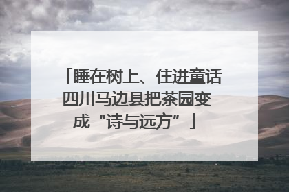 睡在树上、住进童话 四川马边县把茶园变成“诗与远方”