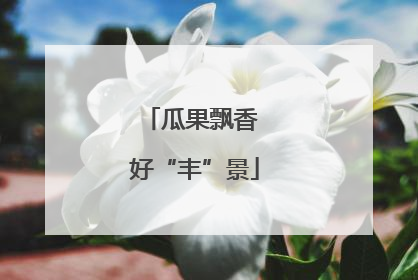 瓜果飘香 好“丰”景