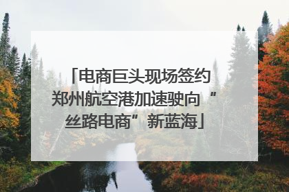 电商巨头现场签约 郑州航空港加速驶向“丝路电商”新蓝海
