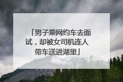 男子乘网约车去面试，却被女司机连人带车送进湖里