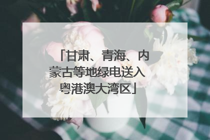 甘肃、青海、内蒙古等地绿电送入粤港澳大湾区