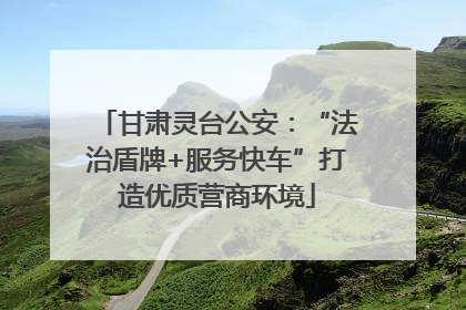 甘肃灵台公安：“法治盾牌+服务快车”打造优质营商环境