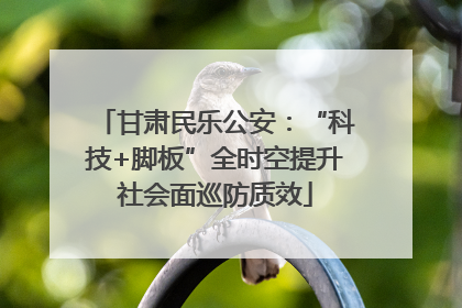 甘肃民乐公安：“科技+脚板”全时空提升社会面巡防质效