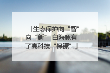 生态保护向“智”向“新” 白海豚有了高科技“保镖”