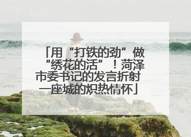 用“打铁的劲”做“绣花的活”！菏泽市委书记的发言折射一座城的炽热情怀