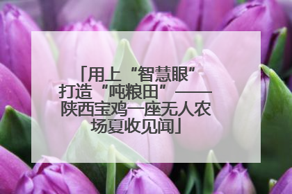 用上“智慧眼” 打造“吨粮田”——陕西宝鸡一座无人农场夏收见闻