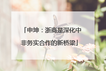 申坤：浙商是深化中非务实合作的新桥梁