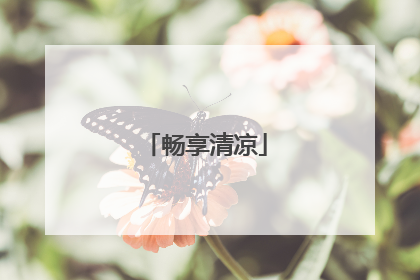 畅享清凉