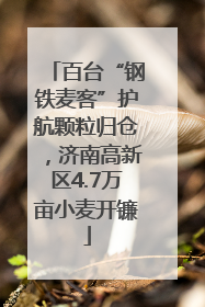 百台“钢铁麦客”护航颗粒归仓，济南高新区4.7万亩小麦开镰