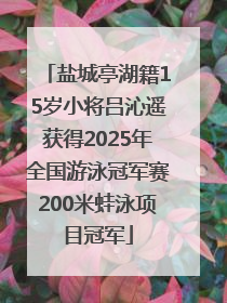 盐城亭湖籍15岁小将吕沁遥获得2025年全国游泳冠军赛200米蛙泳项目冠军