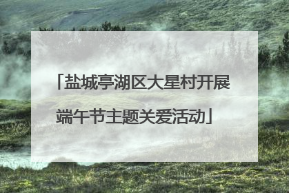 盐城亭湖区大星村开展端午节主题关爱活动