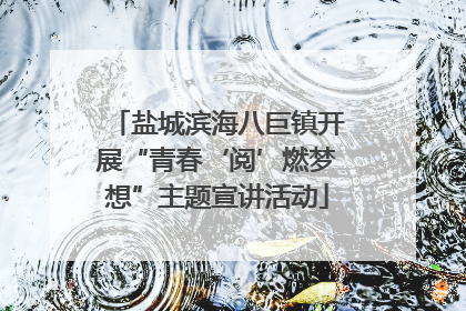 盐城滨海八巨镇开展“青春‘阅’燃梦想”主题宣讲活动