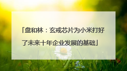 盘和林：玄戒芯片为小米打好了未来十年企业发展的基础