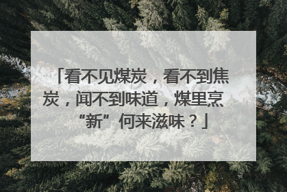 看不见煤炭，看不到焦炭，闻不到味道，煤里烹“新”何来滋味？