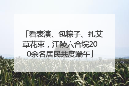 看表演、包粽子、扎艾草花束，江陵六合垸200余名居民共度端午