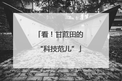 看！甘蔗田的“科技范儿”