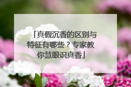 真假沉香的区别与特征有哪些？专家教你慧眼识真香
