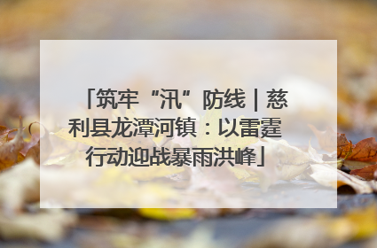 筑牢“汛”防线｜慈利县龙潭河镇：以雷霆行动迎战暴雨洪峰