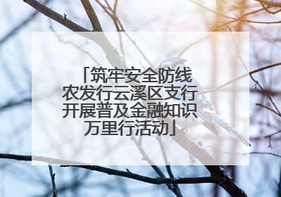 筑牢安全防线 农发行云溪区支行开展普及金融知识万里行活动