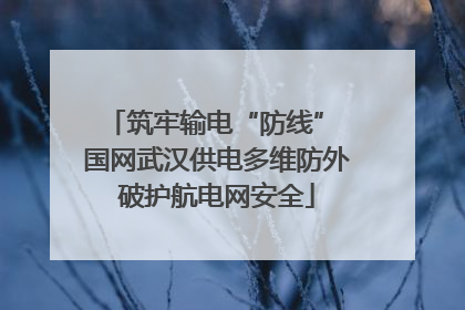 筑牢输电“防线” 国网武汉供电多维防外破护航电网安全