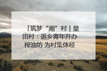 筑梦“湘”村｜皇田村：返乡青年开办榨油坊 为村集体经济“加油”
