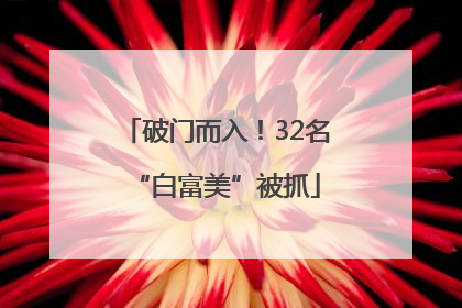破门而入！32名“白富美”被抓