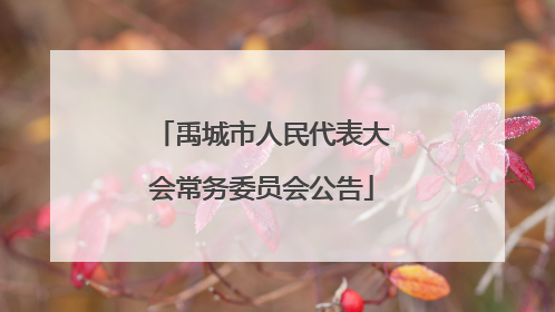 禹城市人民代表大会常务委员会公告