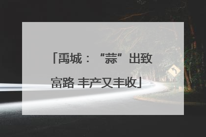 禹城：“蒜”出致富路 丰产又丰收