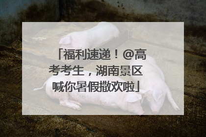 福利速递！@高考考生，湖南景区喊你暑假撒欢啦