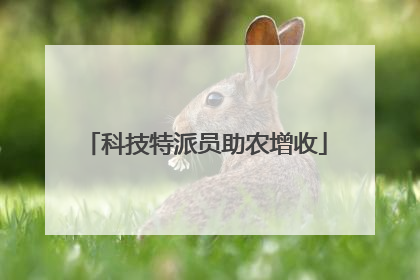 科技特派员助农增收