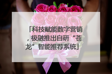 科技赋能数字营销，极融推出自研“苍龙”智能推荐系统