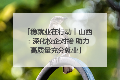 稳就业在行动丨山西：深化校企对接 助力高质量充分就业