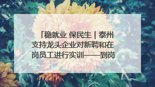 稳就业 保民生｜泰州支持龙头企业对新聘和在岗员工进行实训——到岗就能用 用了就见效