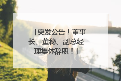 突发公告！董事长、董秘、副总经理集体辞职！