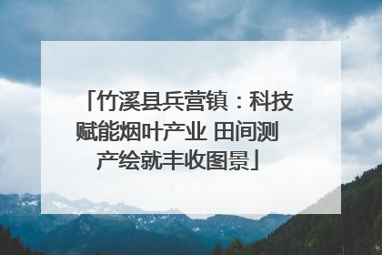 竹溪县兵营镇：科技赋能烟叶产业 田间测产绘就丰收图景