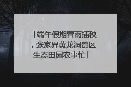 端午假期冒雨插秧，张家界黄龙洞景区生态田园农事忙