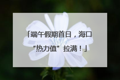 端午假期首日，海口“热力值”拉满！