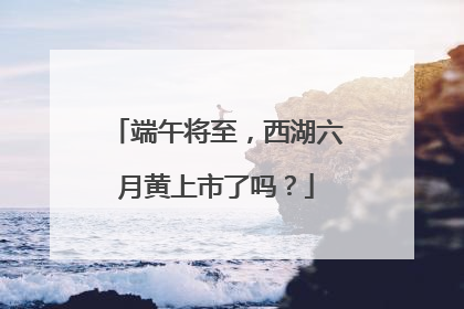 端午将至，西湖六月黄上市了吗？