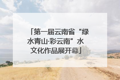 第一届云南省“绿水青山·彩云南”水文化作品展开幕